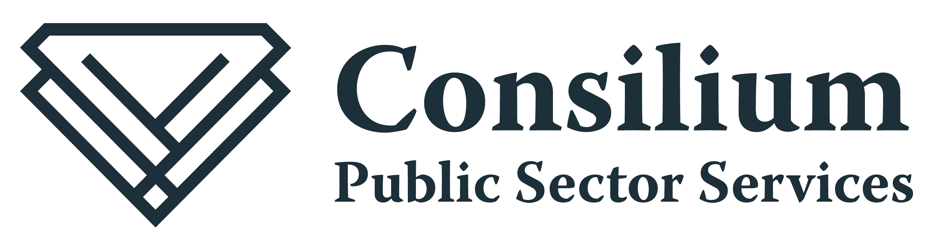 Consilium Public Sector Services